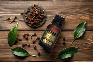 KSMA Clove Essential Oil – A Trusted Choice for Health, Beauty, and Daily Wellnes