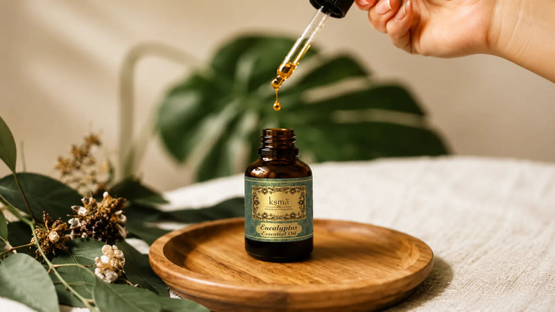 KSMA Eucalyptus Oil – Powerful Eucalyptus Oil Uses for Daily Life and Wellness