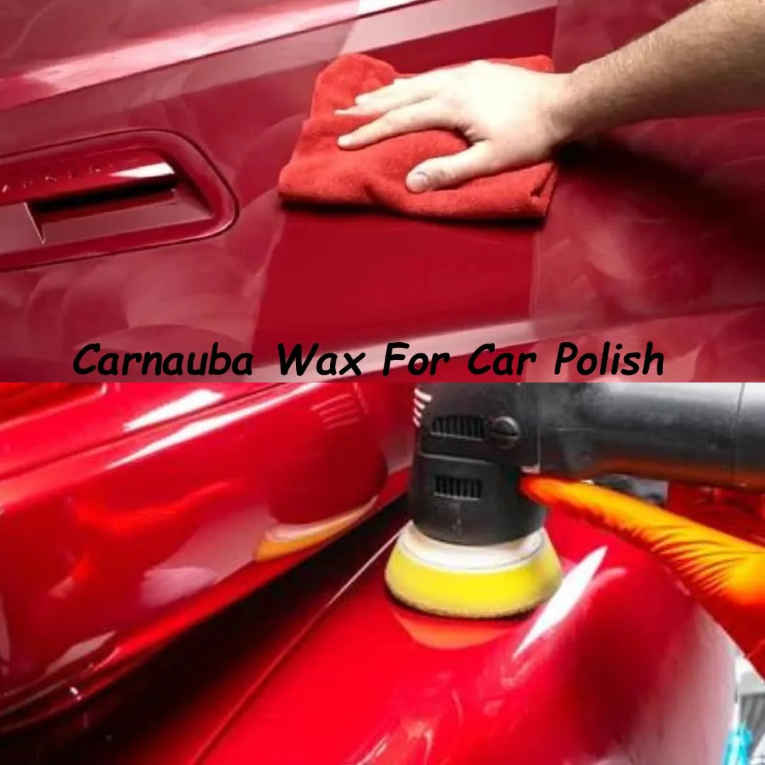 Carnauba Wax
