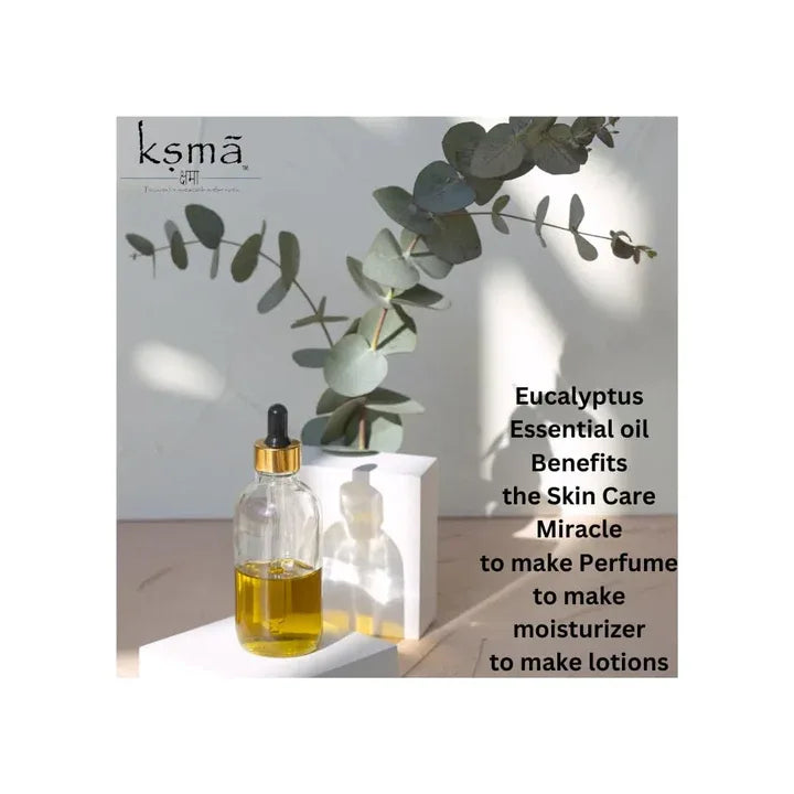 Eucalyptus essential oil bottle placed with green leaves