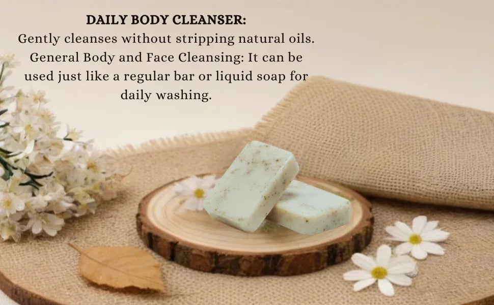 Creamy goat milk soap placed with green leaves in styled setup
